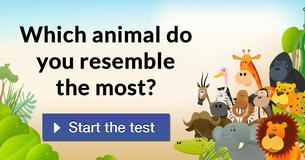 Which animal do you resemble the most?