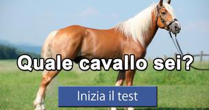 Quale cavallo sei?