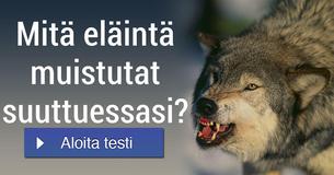 Mitä eläintä muistutat suuttuessasi?