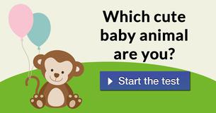 Which cute baby animal are you?