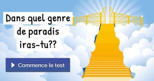 Dans quel genre de paradis iras-tu ?