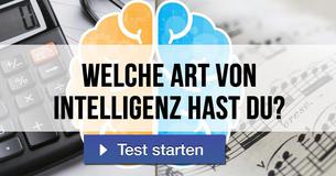 Welche Art von Intelligenz hast du?