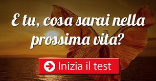 Cosa sarai nella prossima vita?