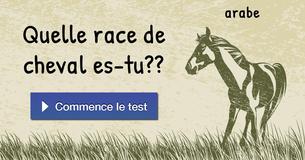 Quelle race de cheval es-tu ?