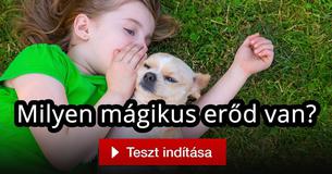 Milyen mágikus erőd van?