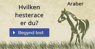 Hvilken hesterace er du?