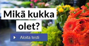 Mikä kukka olet?