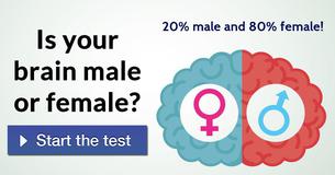 Is your brain male or female?