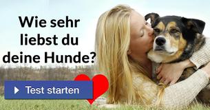 Wie sehr liebst du deine Hunde?