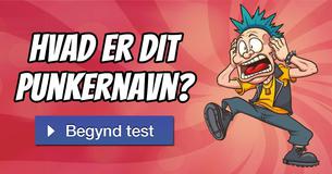 Hvad er dit punkernavn?