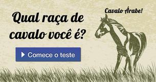 Qual raça de cavalo você é?
