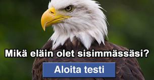 Mikä eläin olet sisimmässäsi?