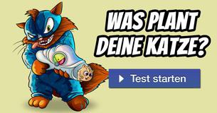 Was plant Deine Katze?