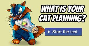 What is your cat planning?