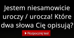 Które dwa słowa Cię opisują?