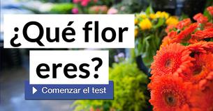 ¿Qué flor eres?