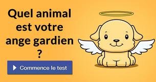 Quel animal est votre ange gardien ?