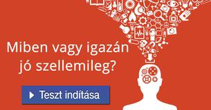 Miben vagy igazán jó szellemileg?