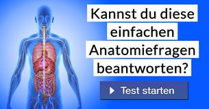 Kannst du diese einfachen Anatomiefragen beantworten?