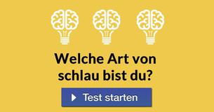 Welche Art von schlau bist du?