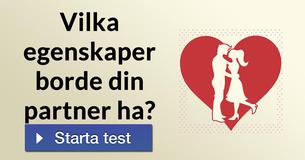 Vilka egenskaper borde din partner ha?