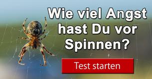 Wie viel Angst hast Du vor Spinnen?