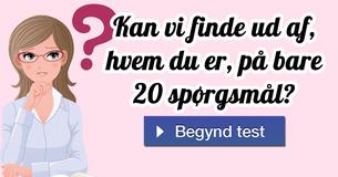 Kan vi finde ud af, hvem du er, på bare 20 spørgsmål?
