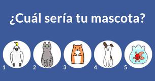 ¿Quién es tu marido de TV?