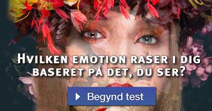 Hvilken emotion raser i dig baseret på det, du ser?