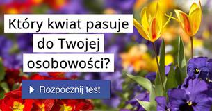 Który kwiat pasuje do Twojej osobowo?ci?