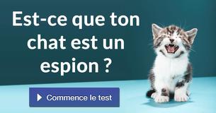 Est-ce que ton chat est un espion ?
