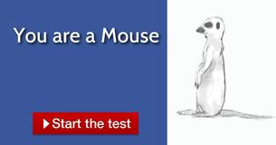 What animal are you?