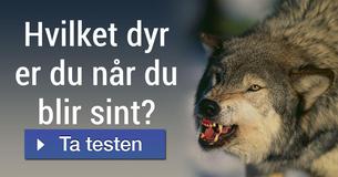 Hvilket dyr er du når du blir sint?