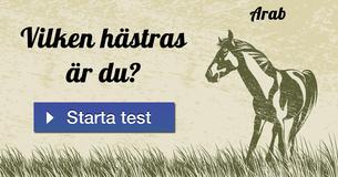 Vilken hästras är du?