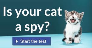 Is your cat a spy?