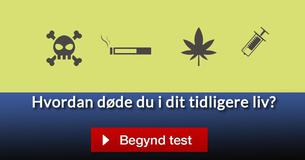 Hvordan døde du i dit tidligere liv?