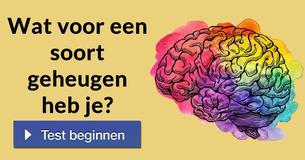 Wat voor een soort geheugen heb je?