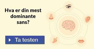 Hva er din mest dominante sans?