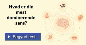 Hvad er din mest dominerende sans?
