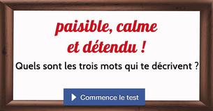 Quels sont les trois mots qui te décrivent ?