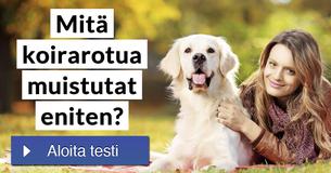 Mitä koirarotua muistutat eniten?