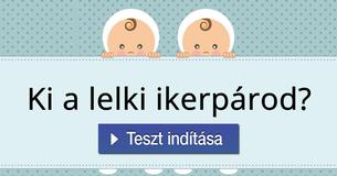 Ki a lelki ikerpárod?  