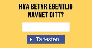 Hva betyr egentlig navnet ditt?