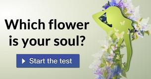 Which flower is your soul?
