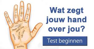 De Handlezen – Test