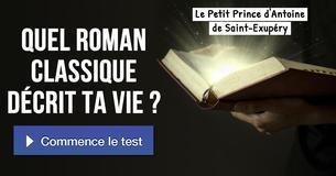 Quel roman classique décrit ta vie ?