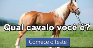 Qual cavalo você é?