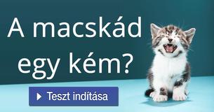 A macskád egy kém?   
