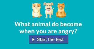 Which animal do you become when you are angry?