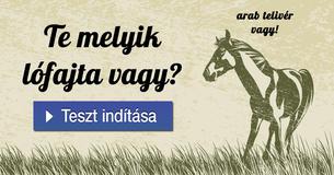 Te melyik lófajta vagy?